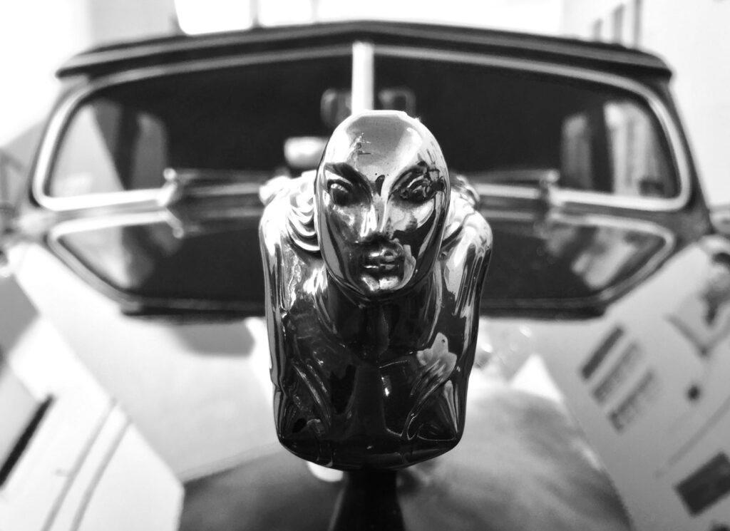 Peter Mercurio Photography