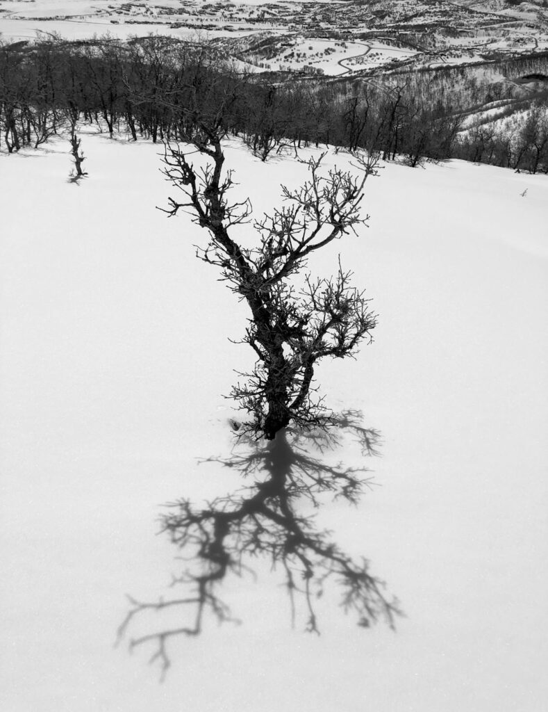 Peter Mercurio Photography