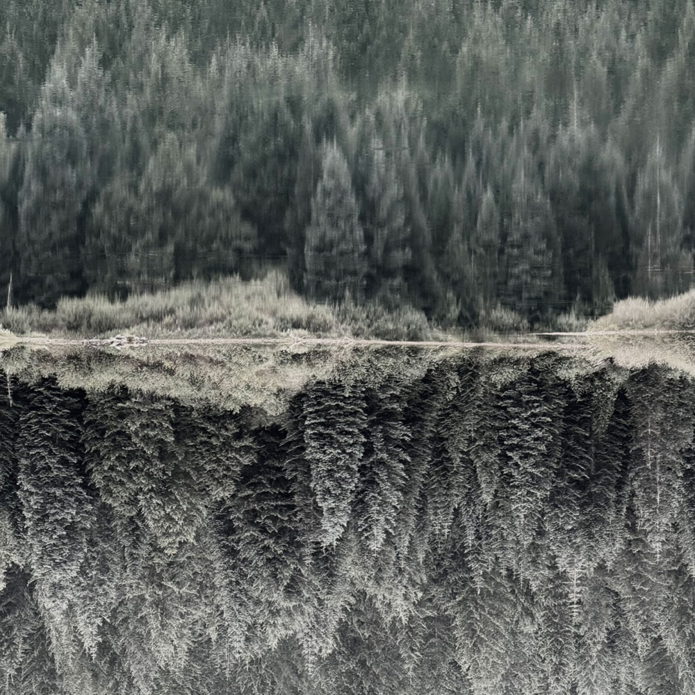Peter Mercurio Photography