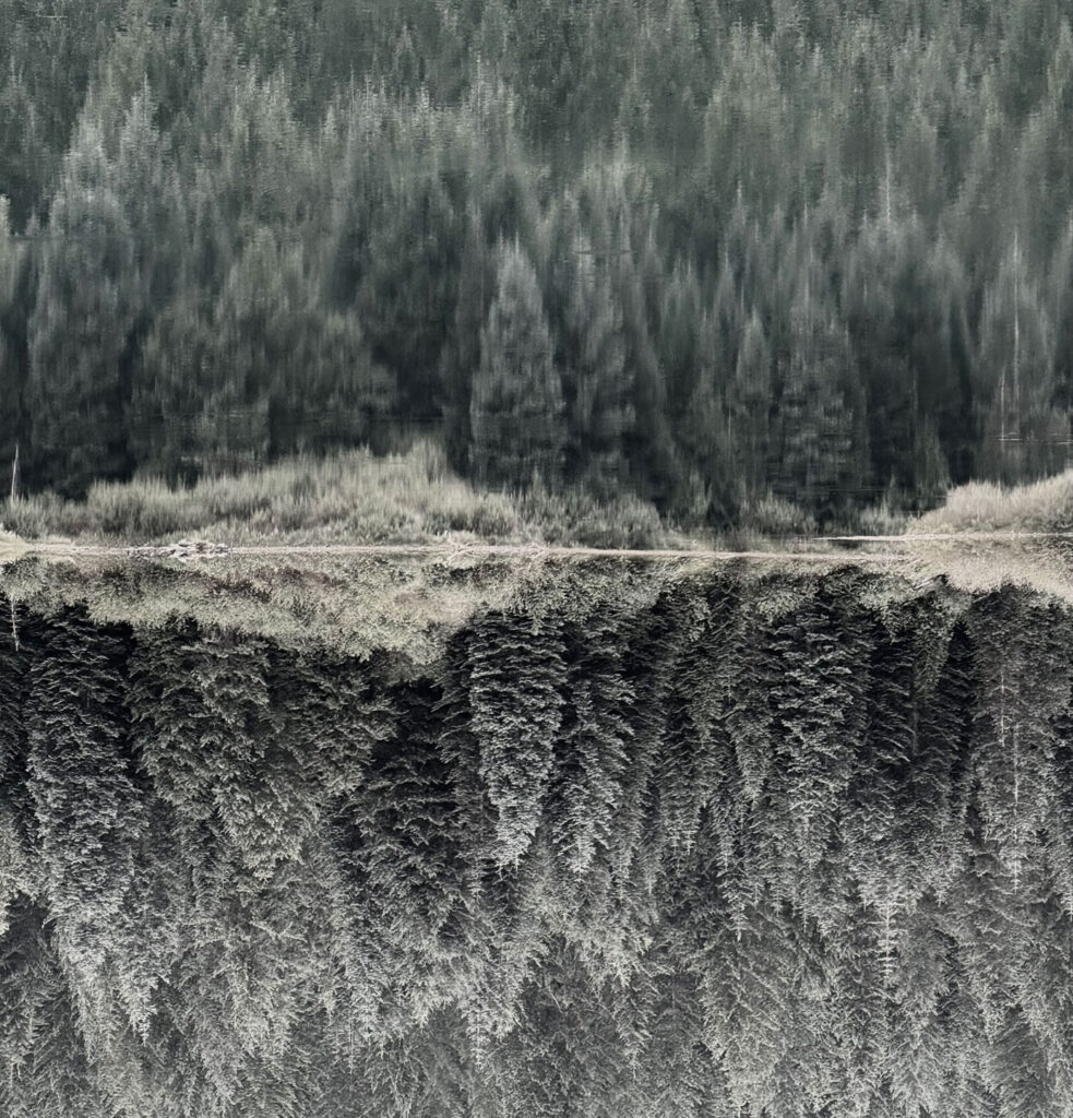 Peter Mercurio Photography