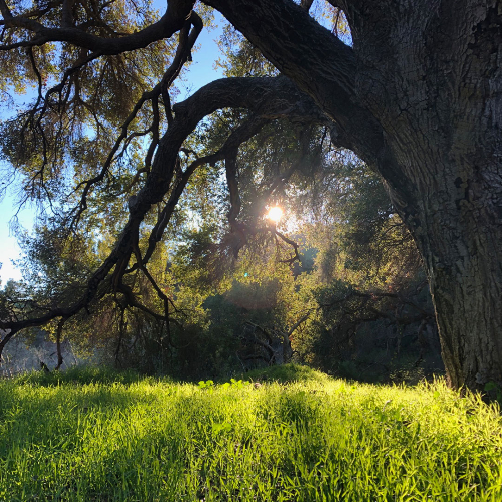 Peter Mercurio Photography