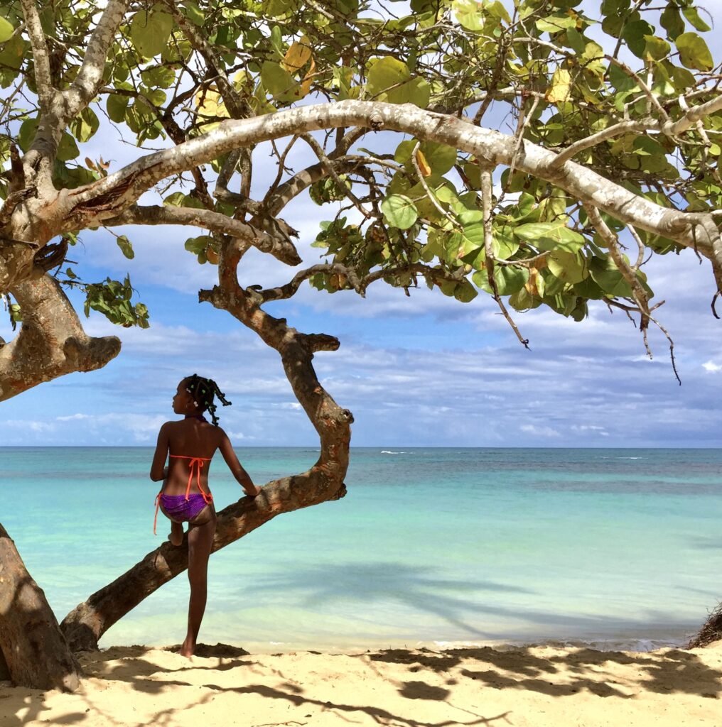 Peter Mercurio Photography