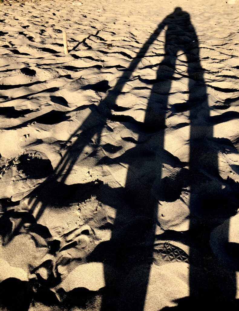 Peter Mercurio Photography